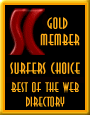 Surfers Choice Best of the Web Portal