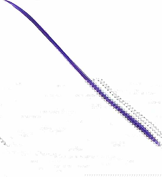 Click on image to return to gallery