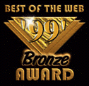 Nielsen Bronze Award
