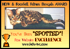 HDW's YOU'VE BEEN SPOTTED for Web Site Excellence Award